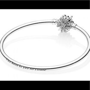 Pandora Fireworks Bangle (2018 Special Edition)